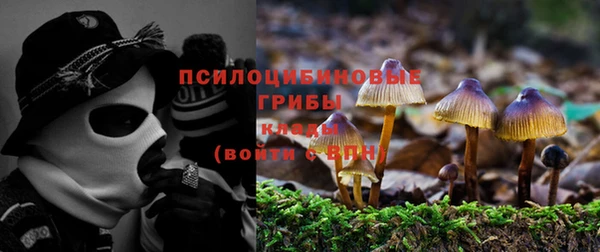 тгк Семилуки