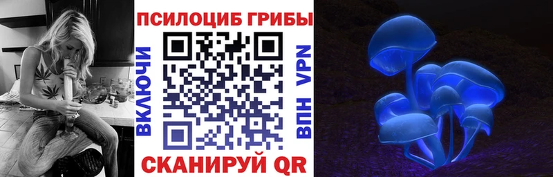 Псилоцибиновые грибы мицелий  OMG сайт  Истра 