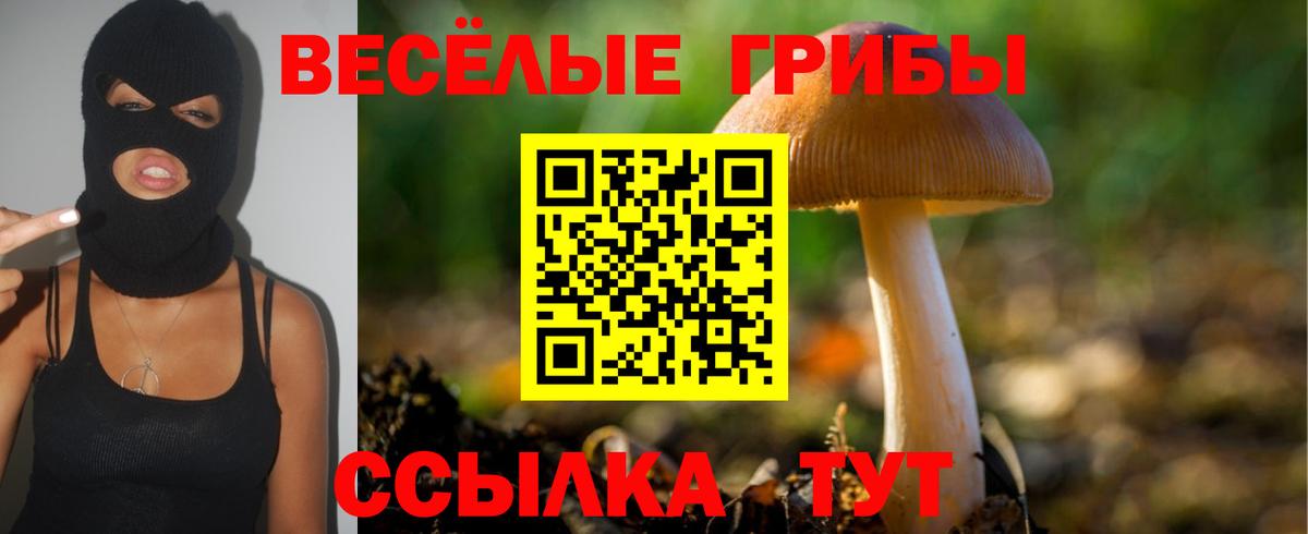 Истра  Псилоцибиновые грибы прущие грибы  Вход с VPN 